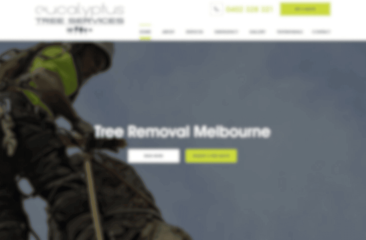 eucalyptus tree services